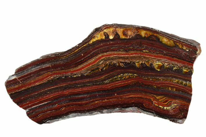 Polished Tiger Iron Stromatolite Slab - Billion Years #185915